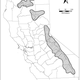 Illustration for article titled Rare Fox Spotted In Yosemite For The First Time In Nearly 100 Years